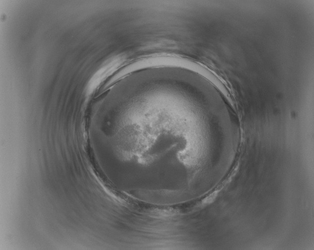 X0000063510245200601271818