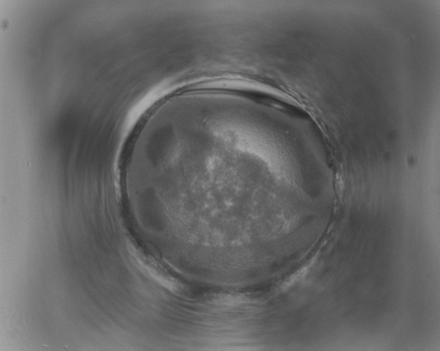 X0000063510246200601271818