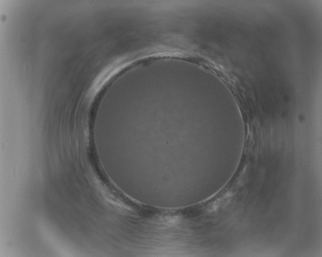 X0000063510247200601271818