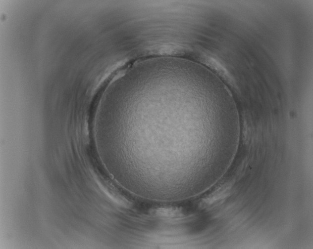 X0000063510251200601271818