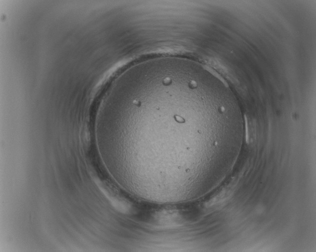 X0000063510252200601271818