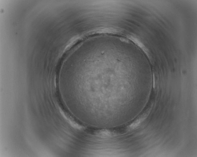 X0000063510253200601271818