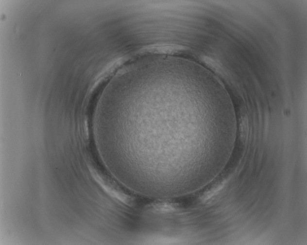 X0000063510254200601271818