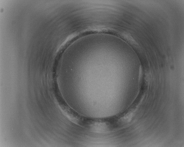 X0000063510256200601271818