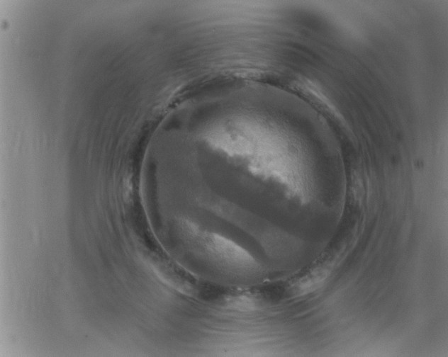 X0000063510259200601271818