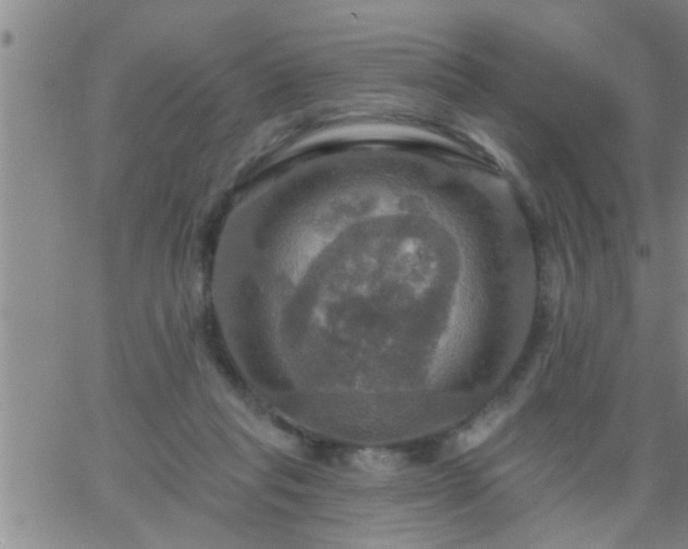 X0000063510261200601271818