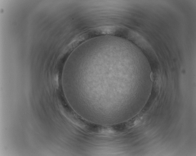 X0000063510262200601271818