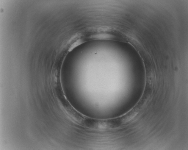 X0000063510264200601271818