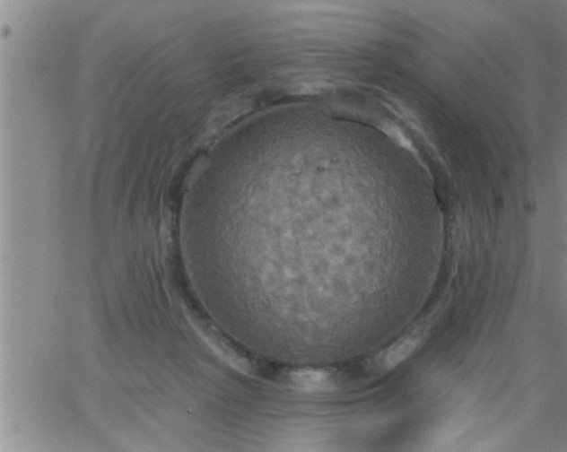 X0000063510265200601271818