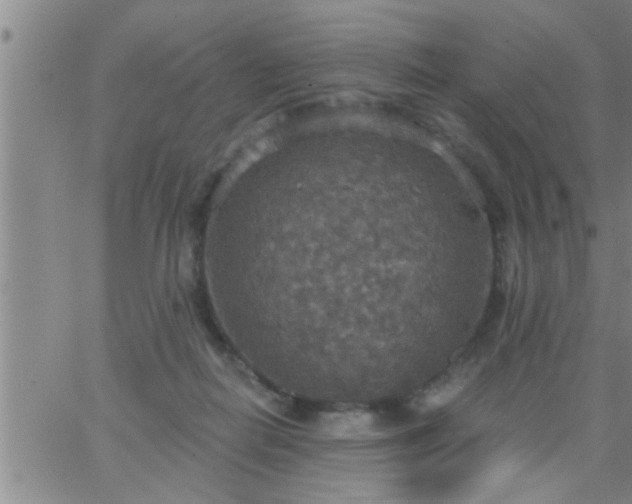 X0000063510266200601271818