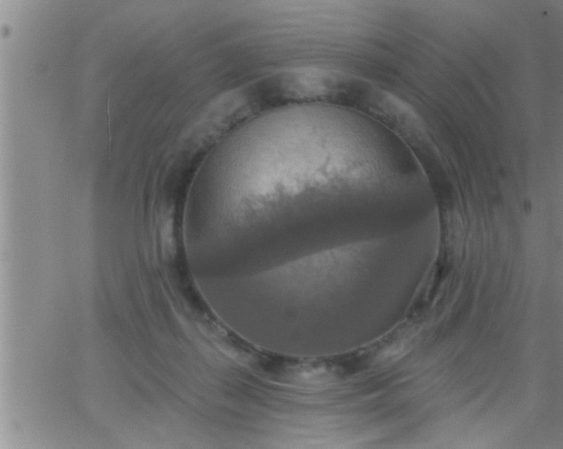 X0000063510267200601271818