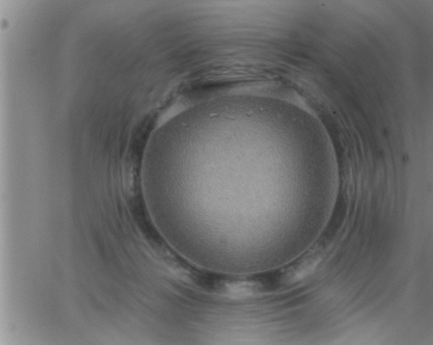 X0000063510268200601271818