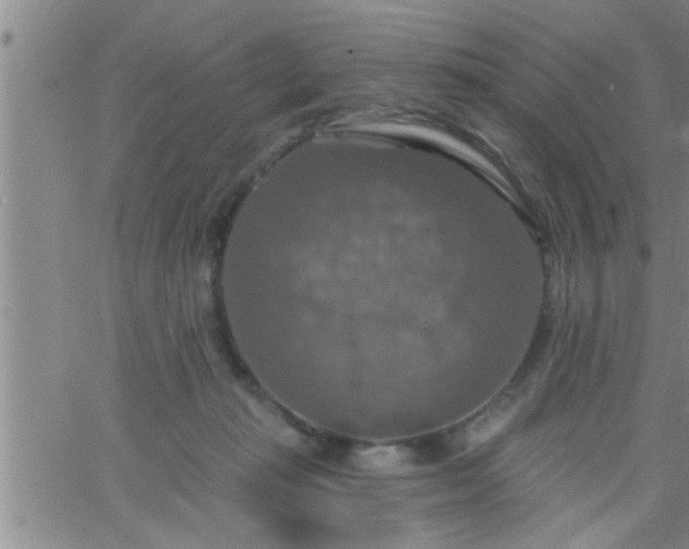 X0000063510269200601271818