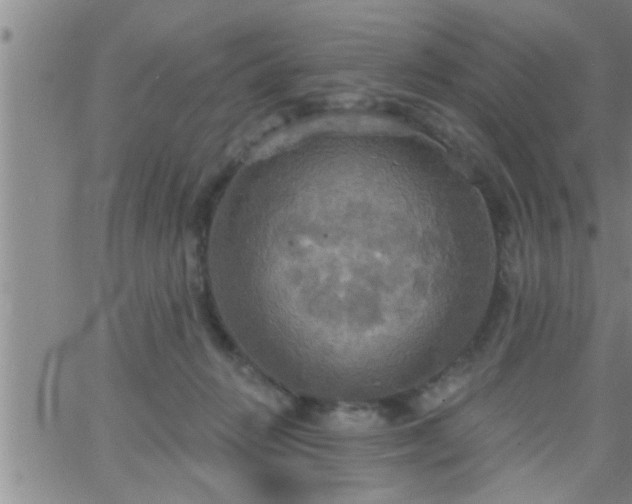 X0000063510270200601271818