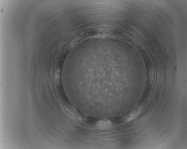 X0000063510271200601271818