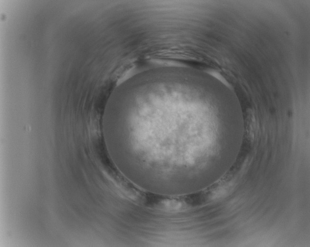 X0000063510272200601271818