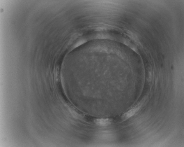 X0000063510273200601271818