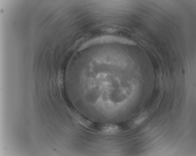 X0000063510274200601271818