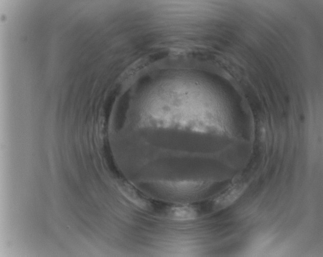 X0000063510275200601271818