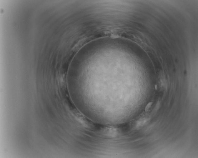 X0000063510276200601271818