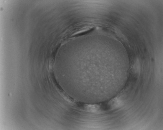 X0000063510277200601271818