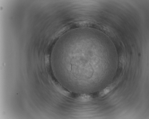 X0000063510278200601271818