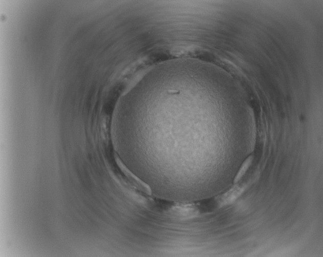 X0000063510280200601271818