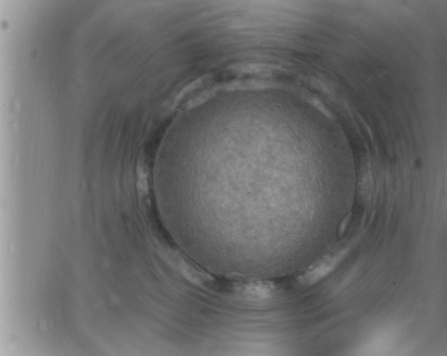 X0000063510282200601271818