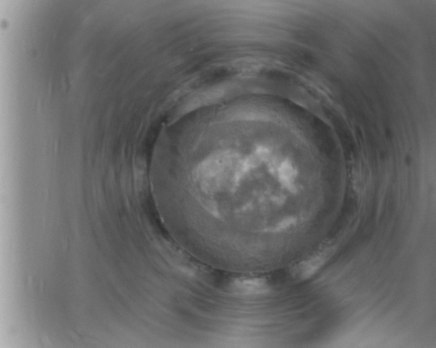 X0000063510283200601271818