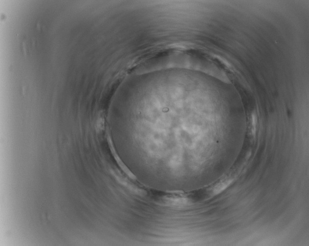 X0000063510284200601271818