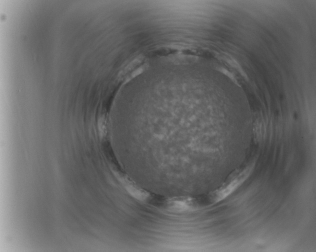 X0000063510285200601271818