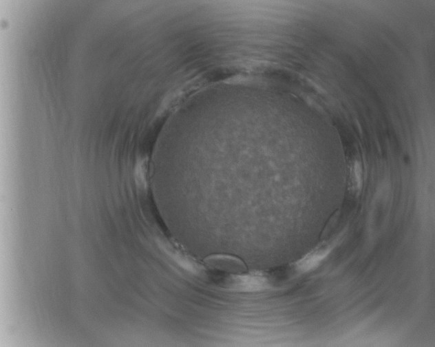 X0000063510286200601271818