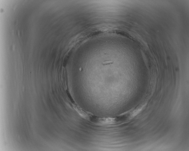 X0000063510288200601271818