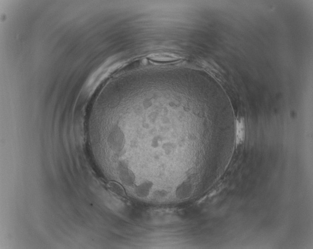 X0000063510291200601271817