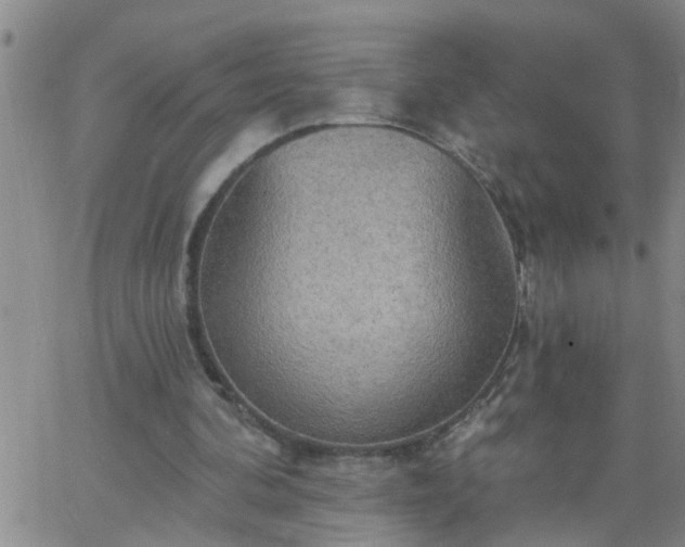 X0000063510292200601271817