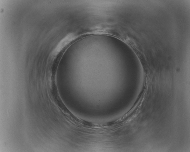 X0000063510295200601271817