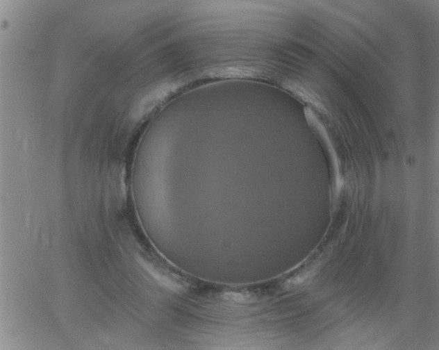 X0000063510302200601271817