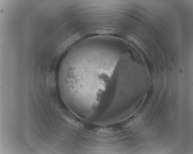 X0000063510303200601271817