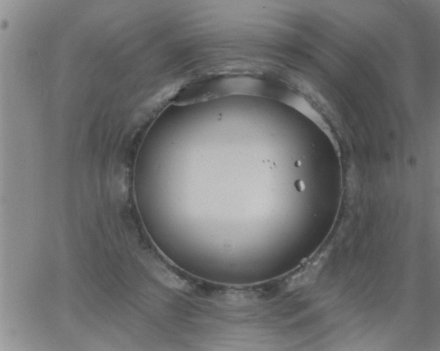 X0000063510305200601271817