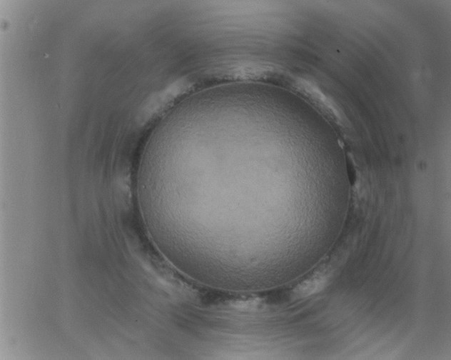 X0000063510306200601271817