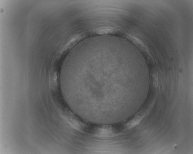 X0000063510308200601271817