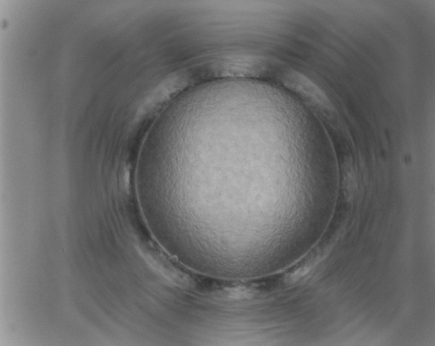 X0000063510310200601271817