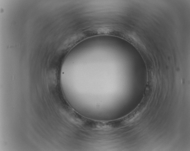 X0000063510311200601271817