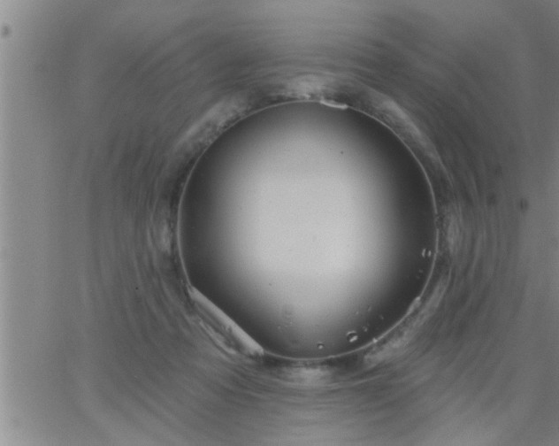 X0000063510313200601271817