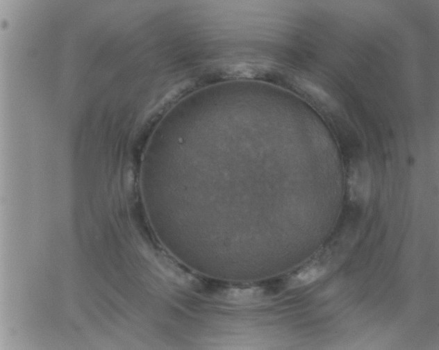 X0000063510314200601271817