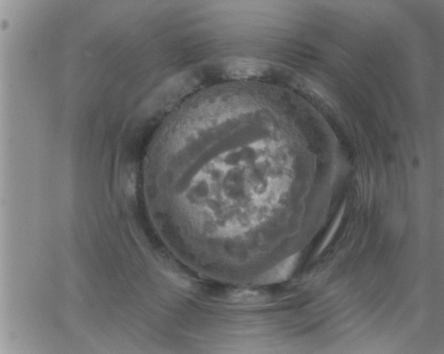 X0000063510315200601271817