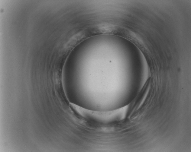 X0000063510317200601271817