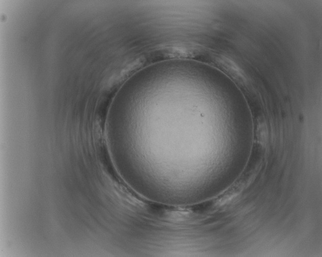 X0000063510318200601271817