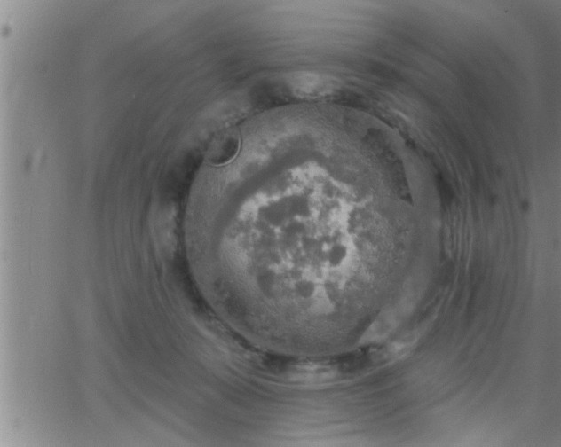 X0000063510319200601271817