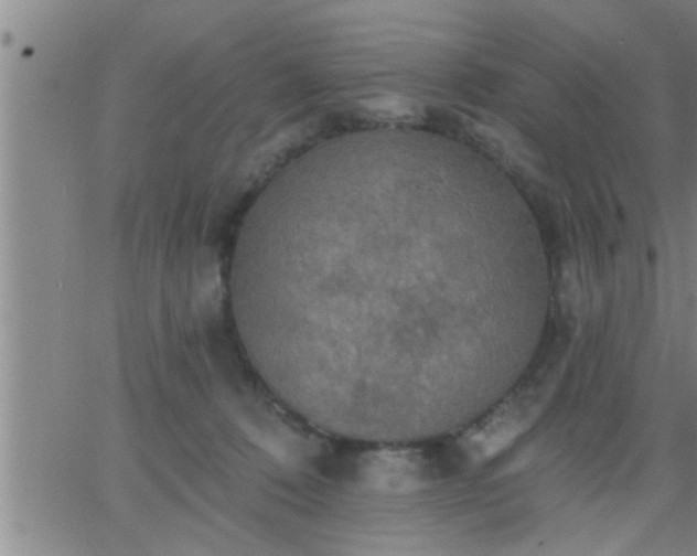 X0000063510320200601271817